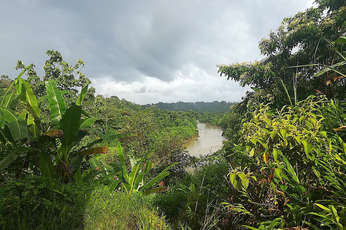 🌿 Río San Cipriano: selva y aguas cristalinas del Pacífico.