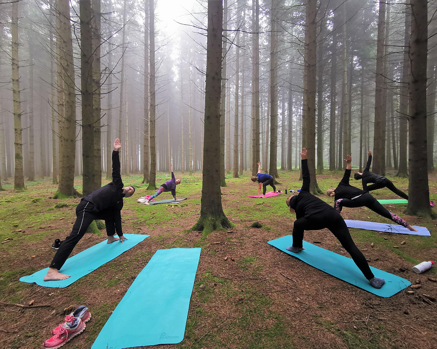 Forest Bathing Experience — Baño de Bosque en Arví
